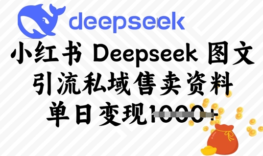 小红书Deepseek 图文引流私域售卖资料，单日变现多张-搞钱专业户