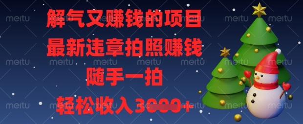 解气又挣钱的项目，最新违章拍照挣钱，随手一拍，轻松收入数张【揭秘】-搞钱专业户