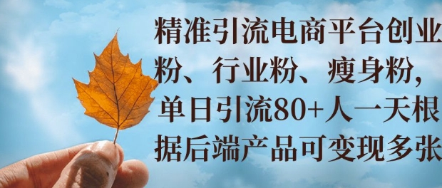 小投资撬动大收益，精准引流创业粉、行业粉，单日引流80+，一天可变现多张-搞钱专业户